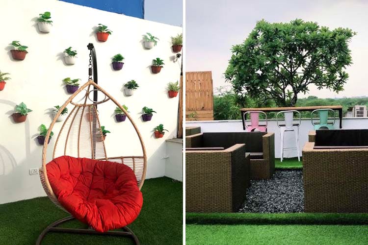 Green,Room,Houseplant,Grass,Interior design,Plant,Furniture,Swing,Flowerpot,House