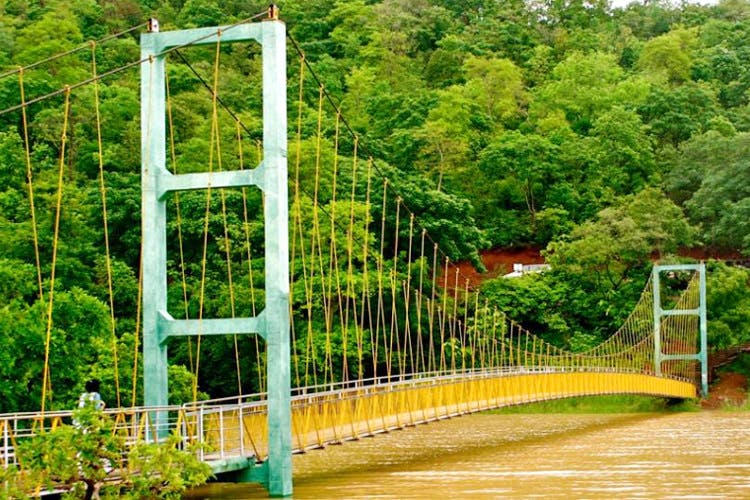 Nature,Green,Bridge,Water,Vegetation,Natural landscape,Nature reserve,Suspension bridge,Tree,Forest