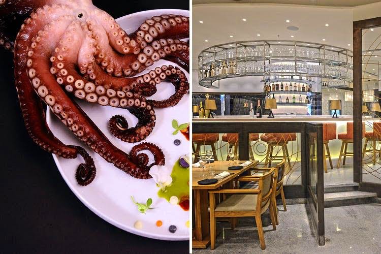 Octopus,Cephalopod,Organism,Marine invertebrates,Interior design,Art