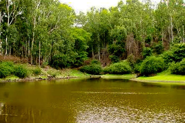 Natural landscape,Body of water,Nature,Vegetation,Nature reserve,Natural environment,Riparian zone,Bank,Water resources,Riparian forest