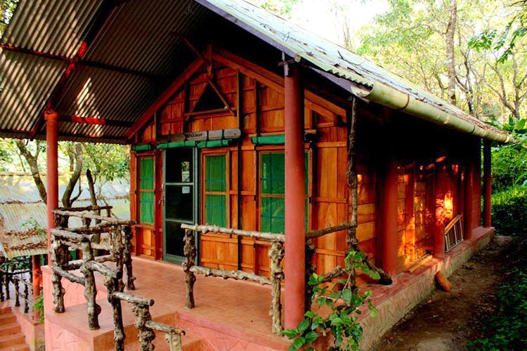 Building,House,Cottage,Home,Log cabin,Tree,Room,Architecture,Landscape,Shed