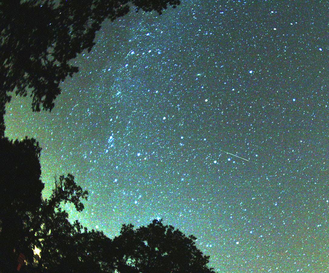 Sky,Blue,Night,Green,Atmosphere,Star,Tree,Astronomical object,Space,Astronomy