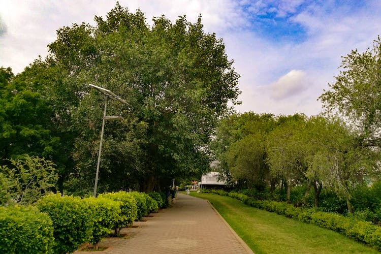 Tree,Natural landscape,Nature,Vegetation,Green,Sky,Garden,Woody plant,Grass,Plant