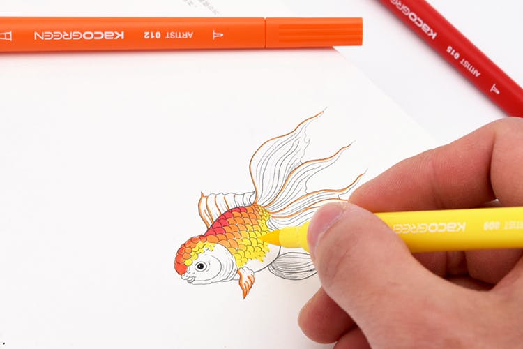 Drawing,Font,Goldfish,Sketch