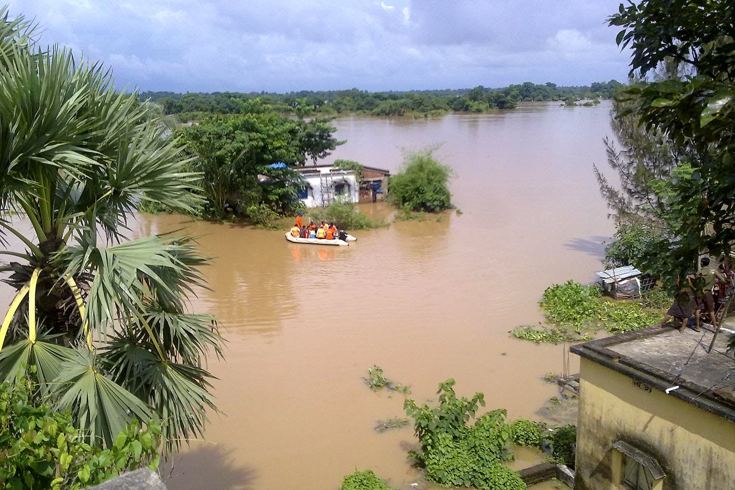 Water resources,Water,River,Waterway,Geological phenomenon,Flood,Natural environment,Floodplain,Bank,Tree