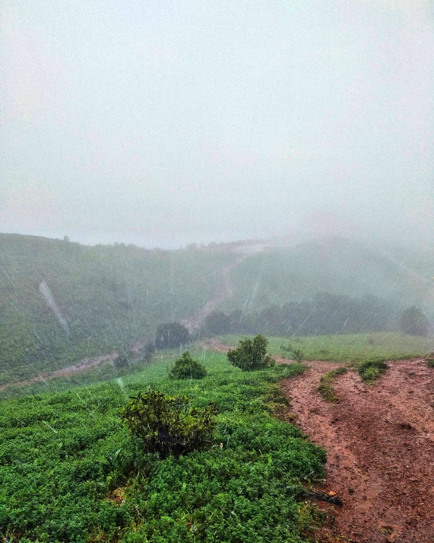 Hill station,Highland,Atmospheric phenomenon,Mountainous landforms,Vegetation,Haze,Plantation,Fog,Mist,Sky