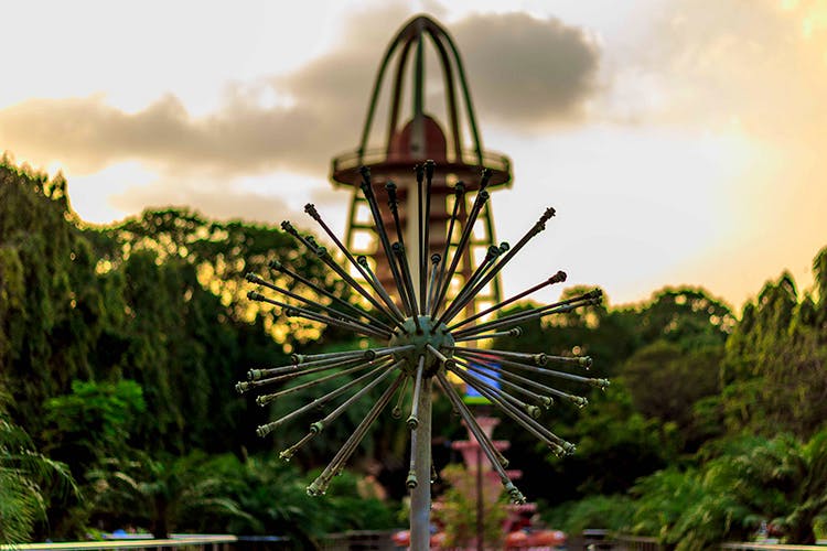 Amusement ride,Amusement park,Sky,Water,Landmark,Tourist attraction,Fun,Ferris wheel,Botany,Park