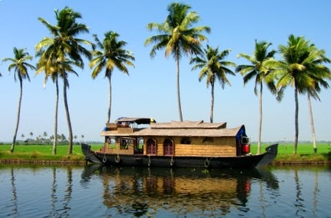 Water transportation,Nature,Tree,Natural landscape,Waterway,Palm tree,Arecales,Boat,Vehicle,Landscape