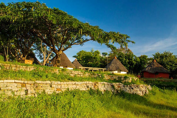 Nature,Sky,Vegetation,Tree,House,Rural area,Grass,Grass family,Hill,Home