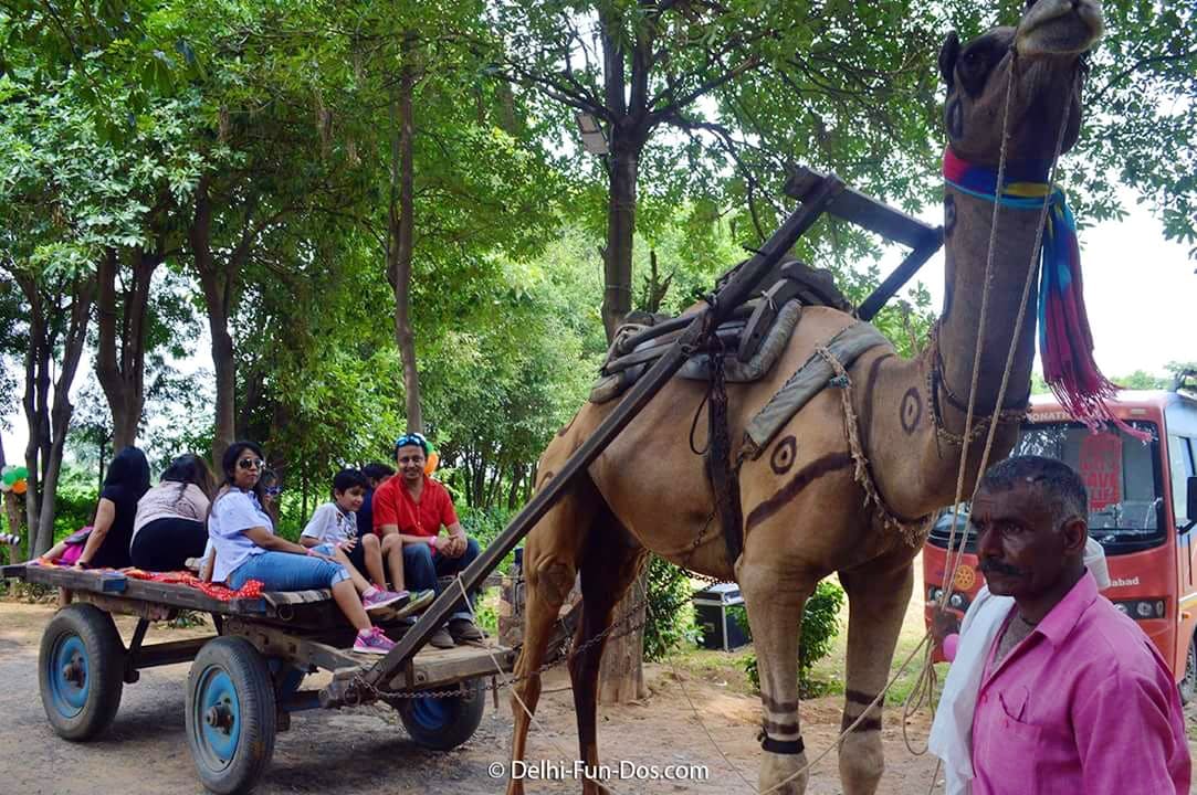 Mode of transport,Horse,Transport,Working animal,Vehicle,Pack animal,Tree,Adaptation,Cart,Rural area