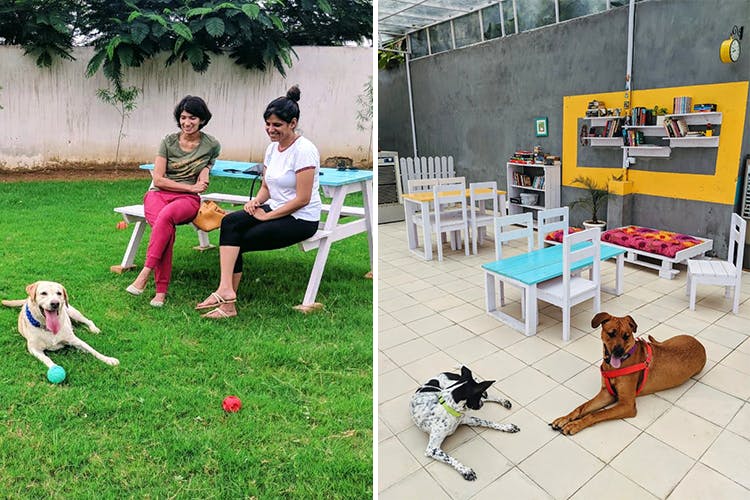 Play,Public space,Grass,Leisure,Canidae,Art,Child,Recreation,Table,Games