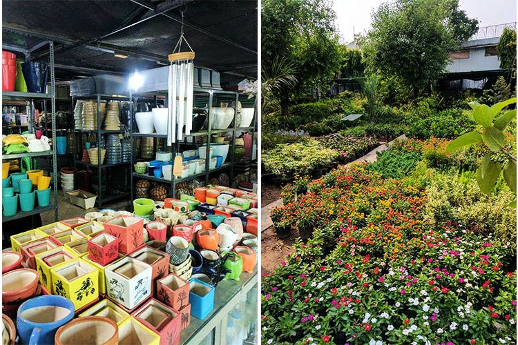 Marketplace,Market,Local food,Public space,Plant,Selling,Garden,Vegetable,Flower,Bazaar