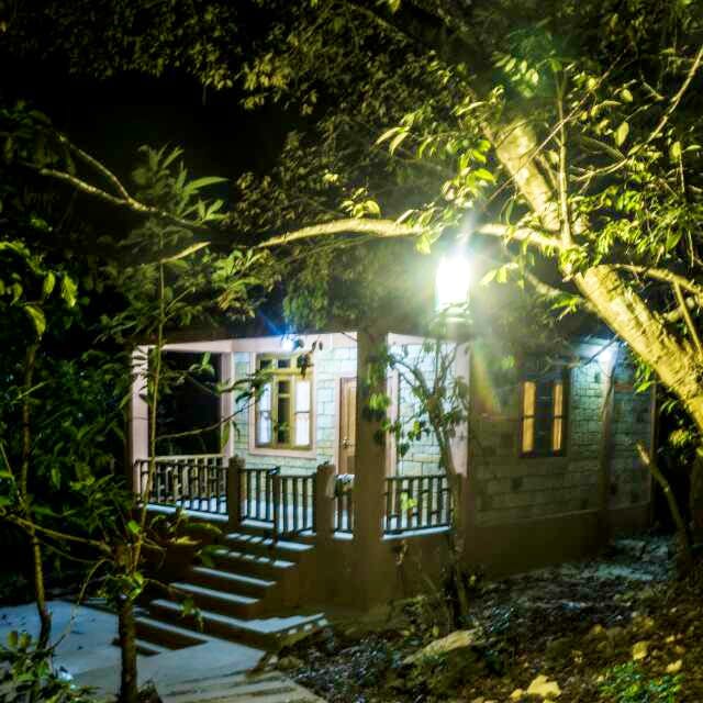 Nature,Light,House,Lighting,Tree,Night,Home,Property,Cottage,Building