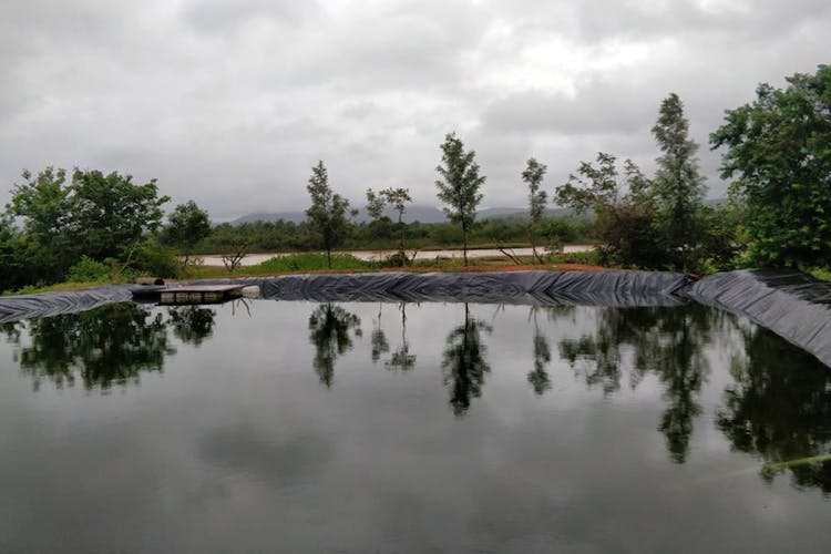 Reflection,Water,Nature,Water resources,Pond,Sky,Natural environment,Natural landscape,Tree,Lake