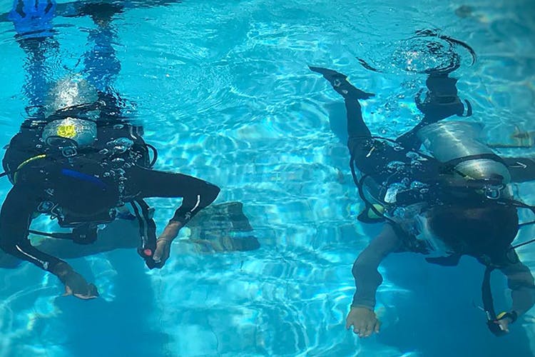 Scuba diving,Underwater diving,Diving equipment,Divemaster,Recreation,Water,Fun,Organism,Swimming pool,Underwater