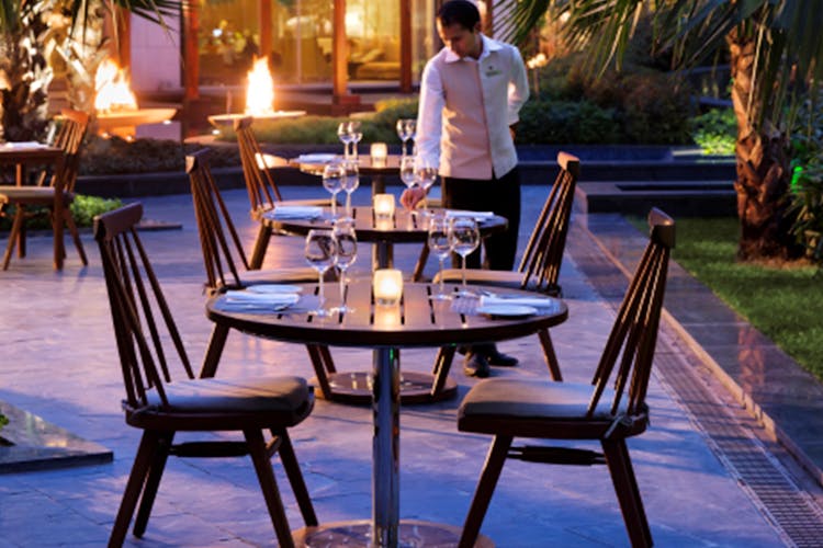 Furniture,Table,Outdoor table,Chair,Leisure,Outdoor furniture,Restaurant,Tree,Patio
