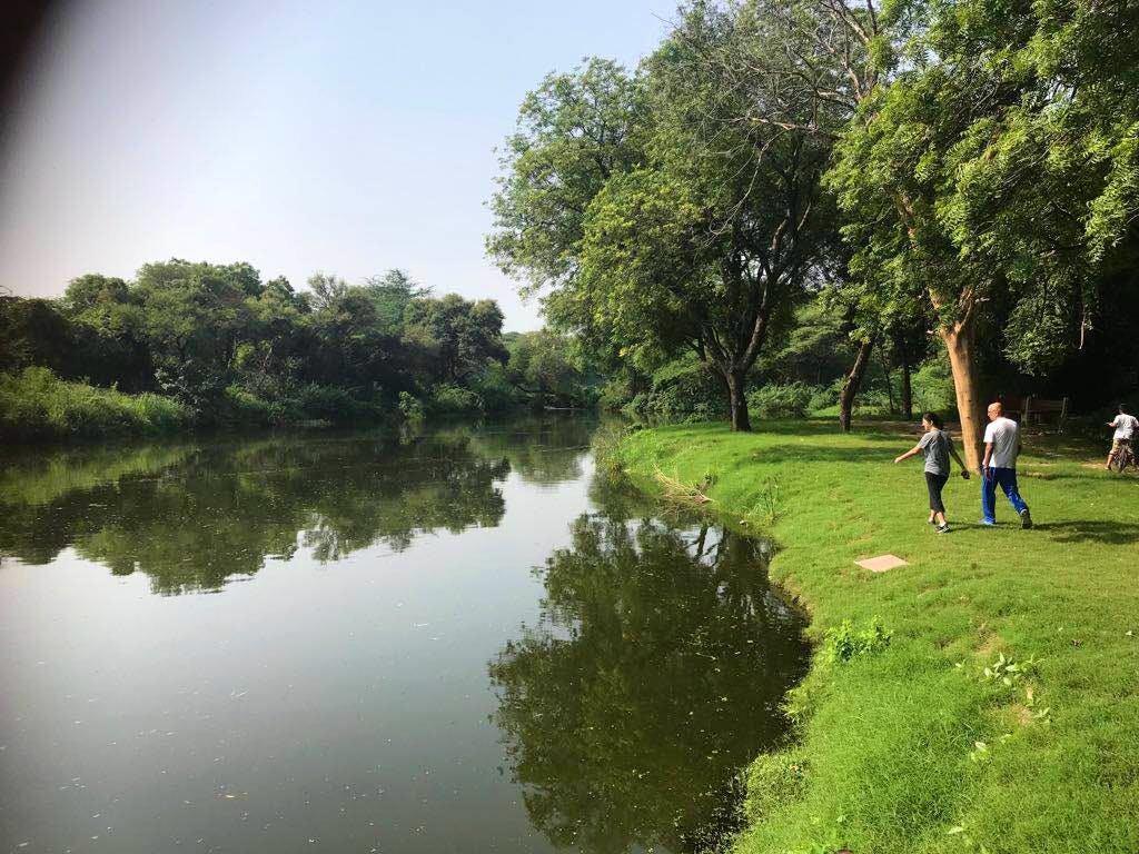 Nature,Water,Sky,Natural landscape,Reflection,Green,River,Tree,Water resources,Waterway