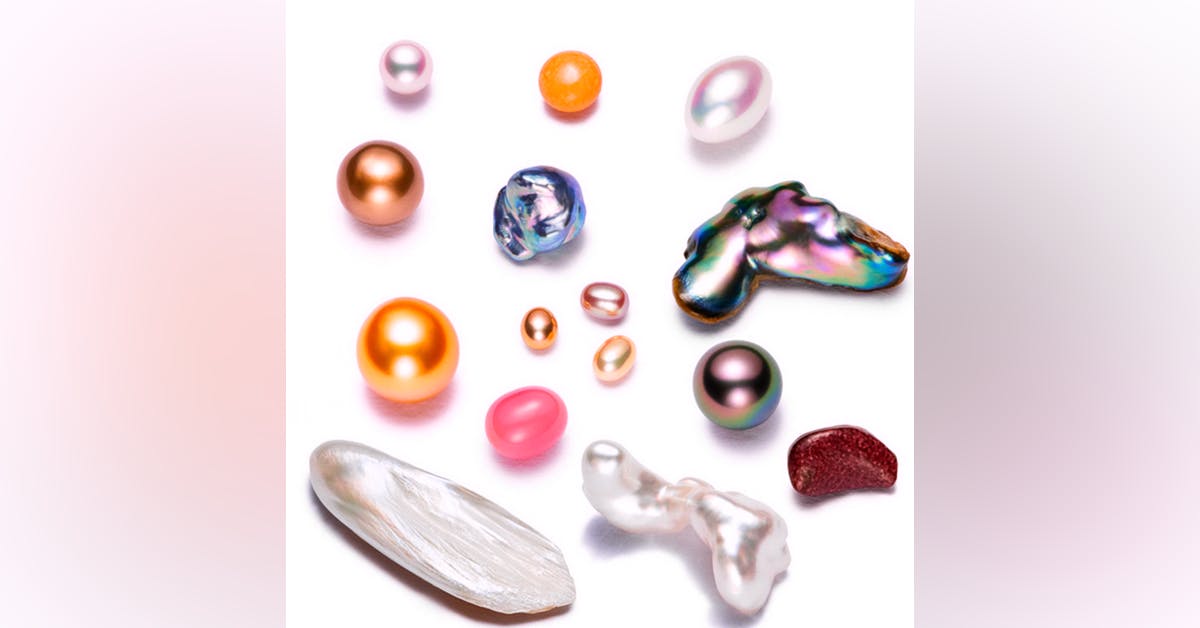 Pearl Museum In Secunderabad | LBB, Hyderabad