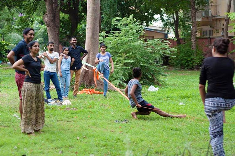 Community,Fun,Grass,Tree,Adaptation,Recreation,Leisure,Games,Picnic