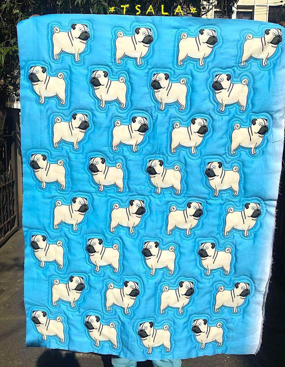 Turquoise,Blue,Textile,Canidae,Pattern,Boxer
