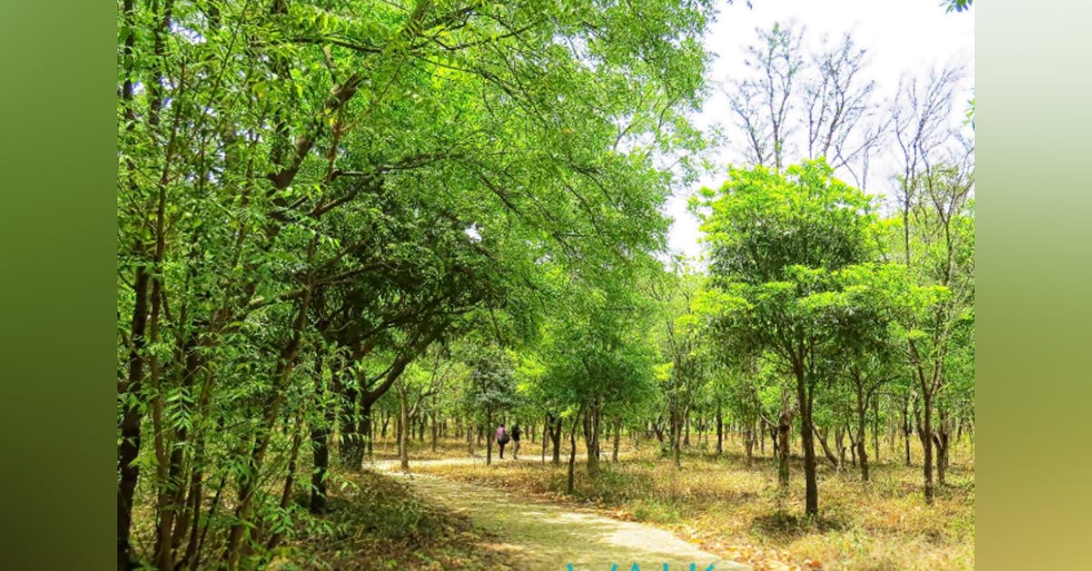 Kandlakoya Oxygen Park In Secunderabad LBB, Hyderabad