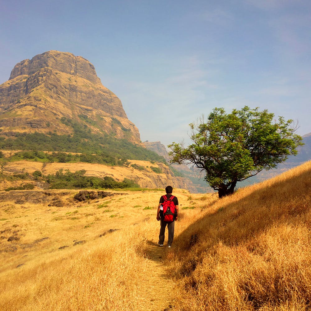 Mountainous landforms,Sky,Mountain,Wilderness,Natural landscape,Trail,Hill,Grass,Grassland,Tree