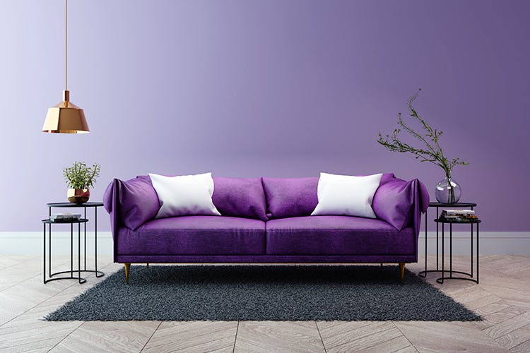 Furniture,Couch,Purple,Violet,Sofa bed,Wall,Room,Lilac,Interior design,studio couch