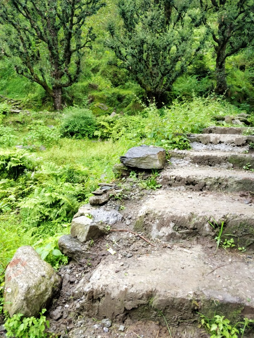 Vegetation,Nature reserve,Natural landscape,Trail,Natural environment,Rock,Geological phenomenon,Biome,Tree,Grass