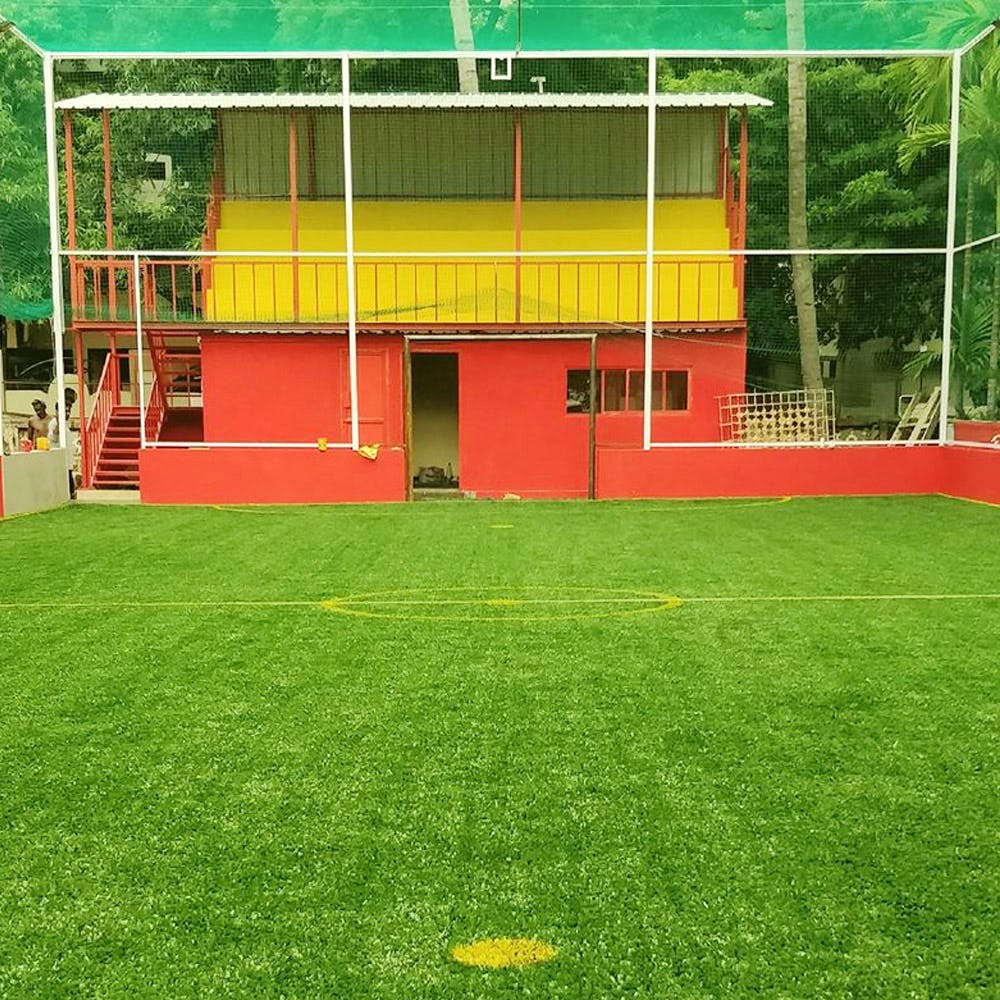 Grass,Sport venue,Lawn,Artificial turf,Stadium,Architecture,Flooring,Plant,House,Team sport