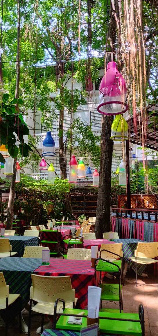 Restaurant,Tree,Building,Table,Plant,Leisure