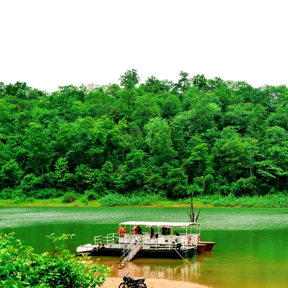 Green,Nature,Natural landscape,Vegetation,Water,Nature reserve,River,Water resources,Water transportation,Natural environment