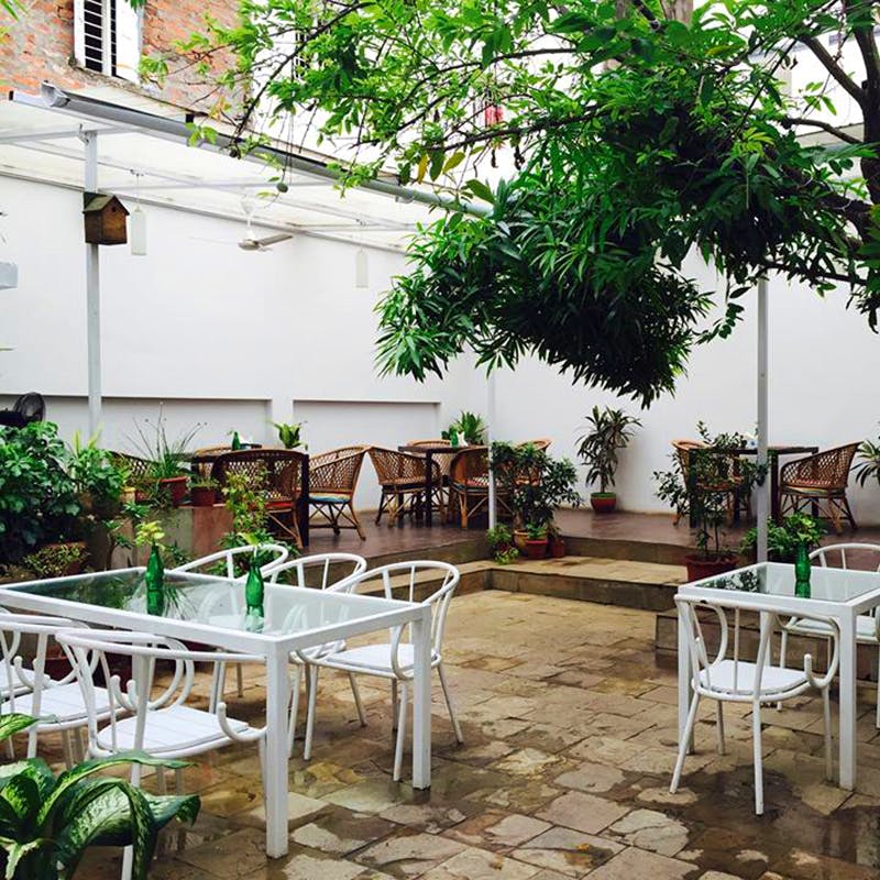 Patio,Table,Restaurant,Tree,Building,Room,Courtyard,House,Furniture,Houseplant
