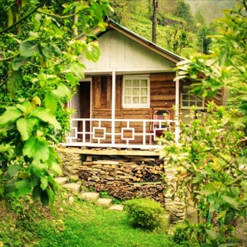 House,Cottage,Property,Building,Shed,Tree,Home,Log cabin,Landscape,Plant