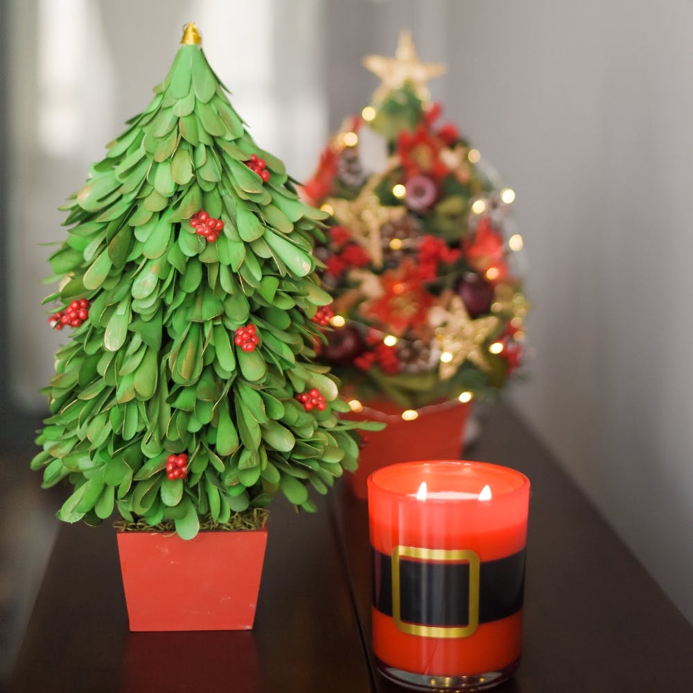 Christmas tree,Christmas decoration,Christmas,oregon pine,Tree,Colorado spruce,Spruce,Christmas ornament,Plant,Houseplant