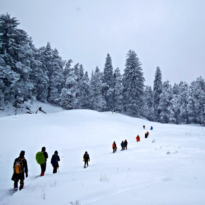 Snow,Winter,Geological phenomenon,Tree,Slope,Freezing,Recreation,Footwear,Winter sport,Fun