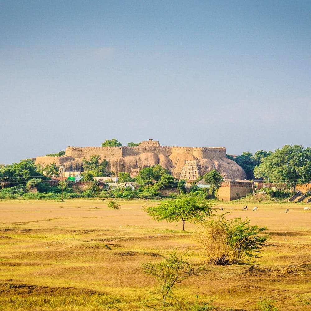 Sky,Field,Rural area,Grass,Grass family,Plain,Hill,Tree,Grassland,Village