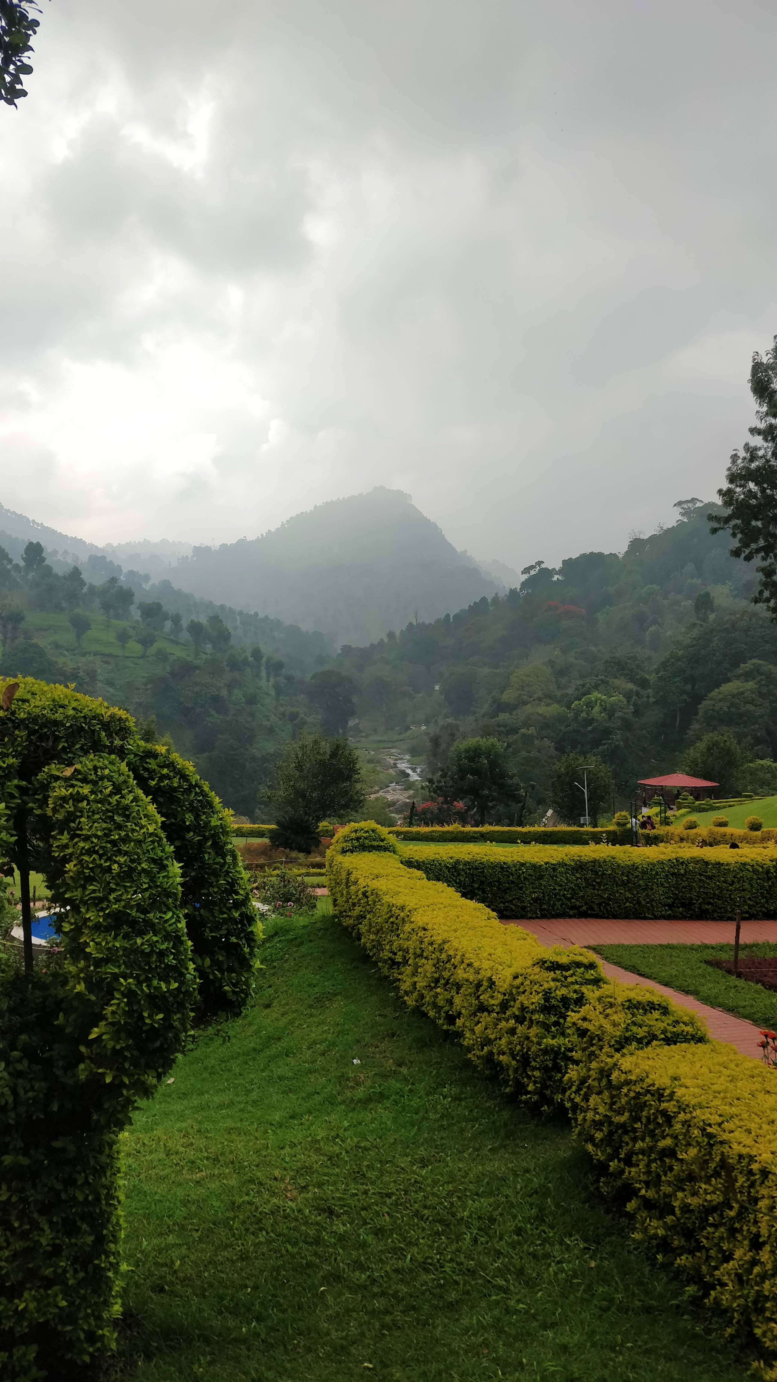 Highland,Nature,Hill station,Vegetation,Natural landscape,Atmospheric phenomenon,Garden,Wilderness,Sky,Plantation