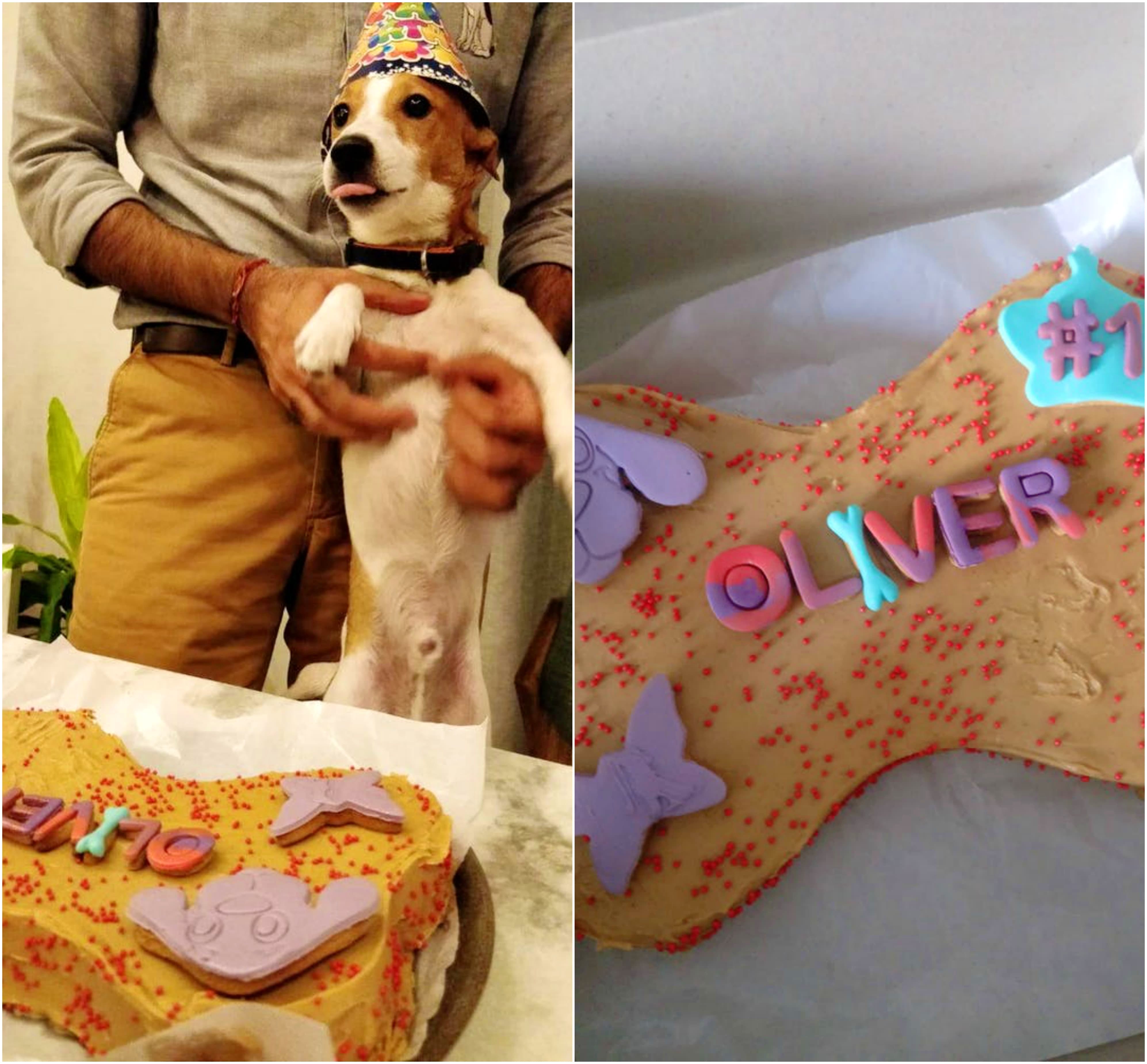 Dog Birthday Cake – In The Middle 4″ – Pickup Only | Happy Dog Barkery