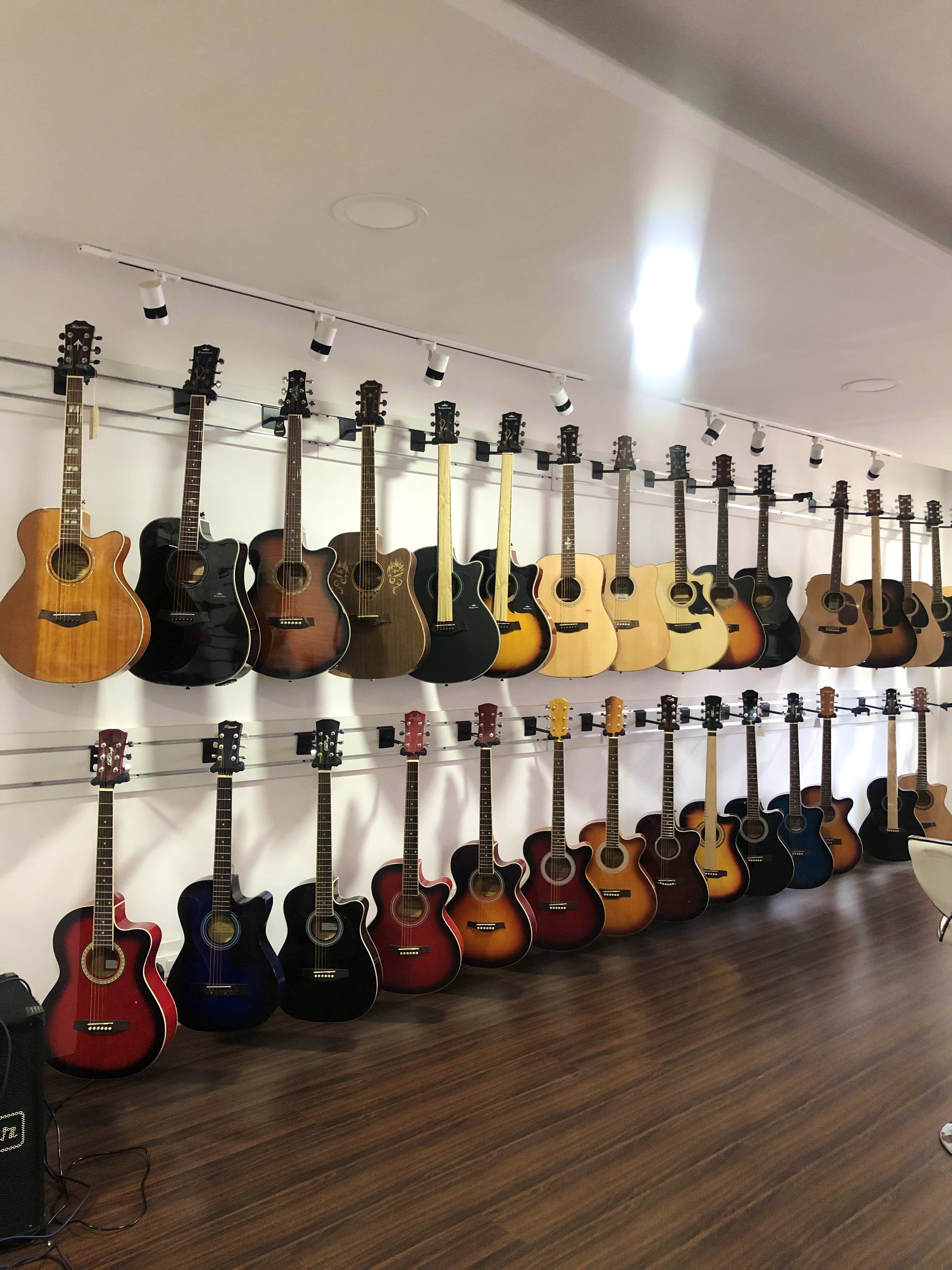 Guitar,String instrument,Plucked string instruments,String instrument,Musical instrument,Folk instrument,Collection