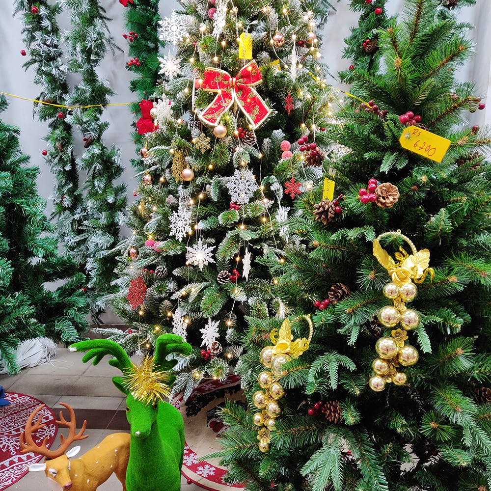 Flower,Plant,Christmas tree,Christmas decoration,Christmas ornament,Christmas,Houseplant,Tree,Floristry,Interior design