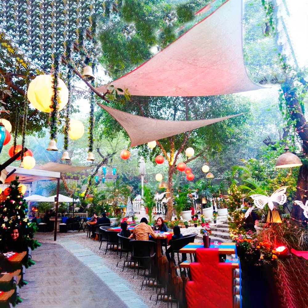 Tree,Architecture,Christmas,Plant,Building,Tourism,Christmas decoration,City,Leisure,Restaurant