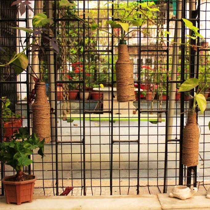Iron,Cage,Metal,Architecture,Door,Interior design,Plant,Mesh,Window,Fence