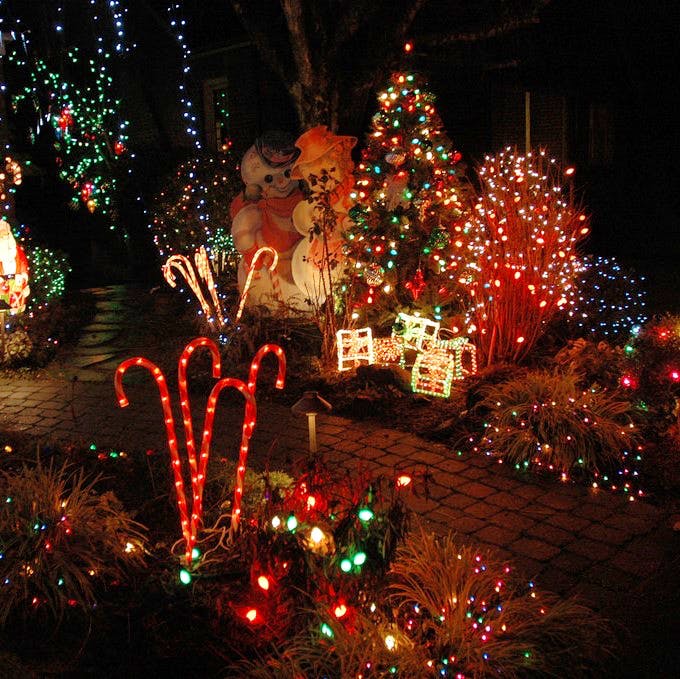 Christmas,Christmas lights,Christmas decoration,Red,Fête,Lighting,Tree,Christmas ornament,Holiday ornament,Event