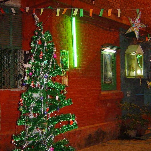 Christmas,Christmas tree,Christmas decoration,Tree,Christmas lights,Christmas ornament,Green,Home,Christmas eve,Tradition