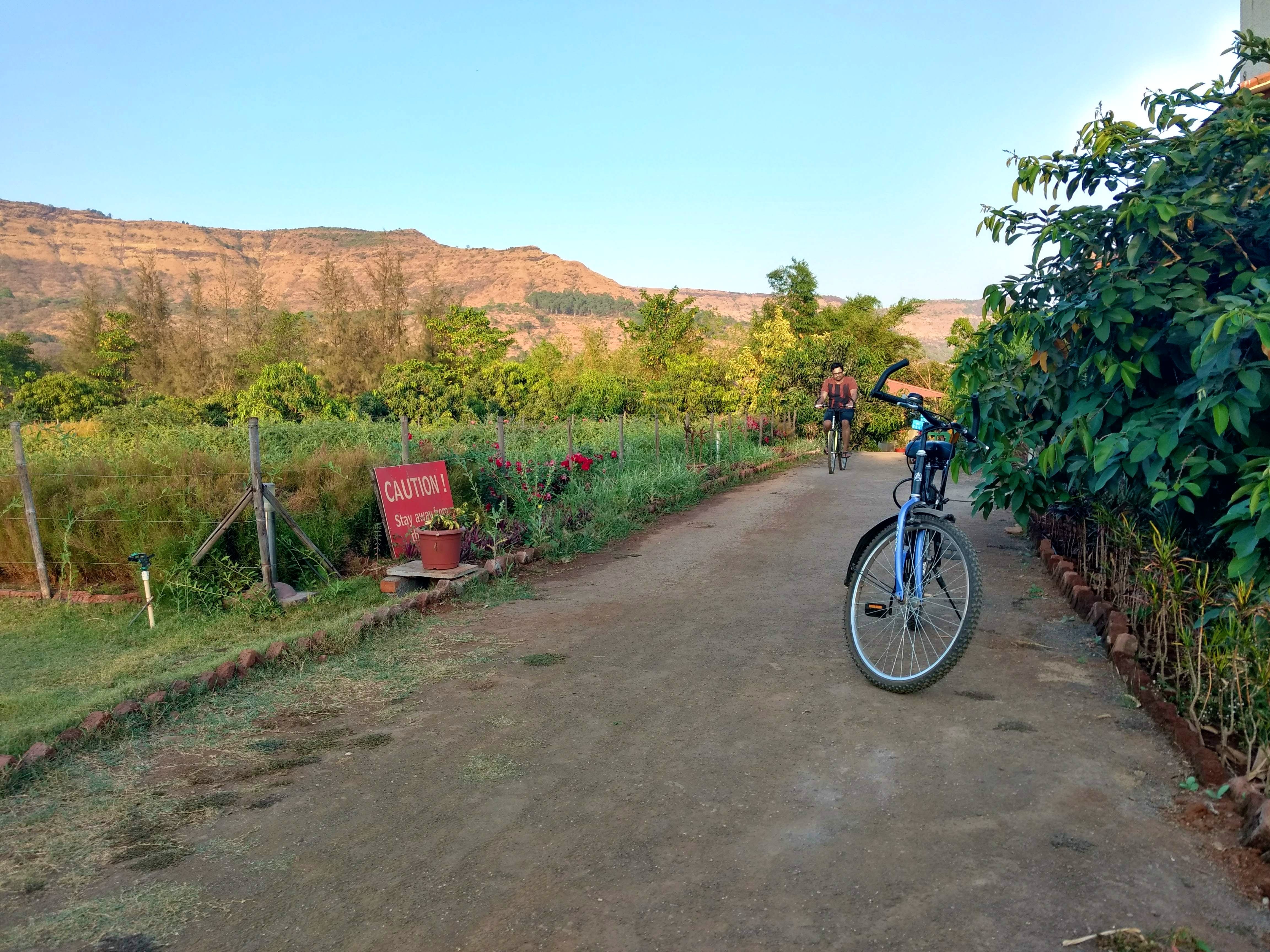 Bicycle,Cycling,Vehicle,Vegetation,Trail,Wilderness,Plant community,Road,Transport,Sky