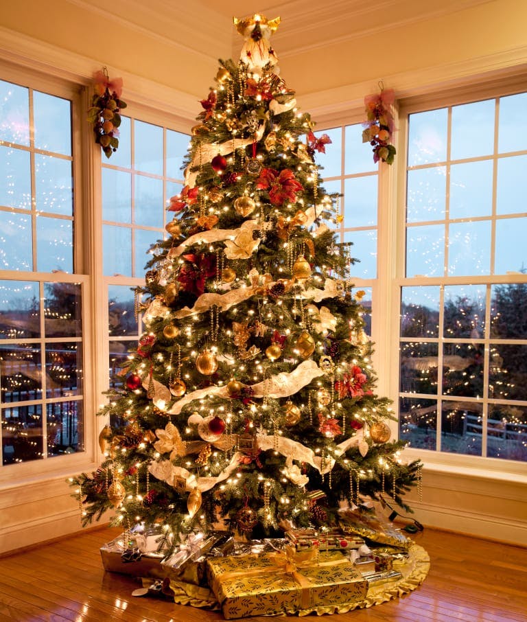 Christmas tree,Christmas decoration,Christmas,Tree,Christmas ornament,Colorado spruce,Spruce,Home,Woody plant,Interior design