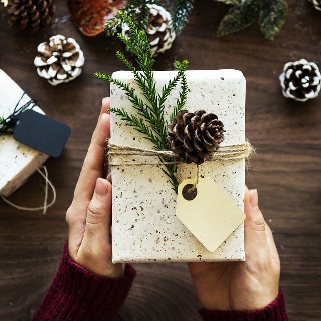 Conifer cone,Table,Gift wrapping,Branch,Tree,Pine,Conifer,Pine family,Plant,Hand