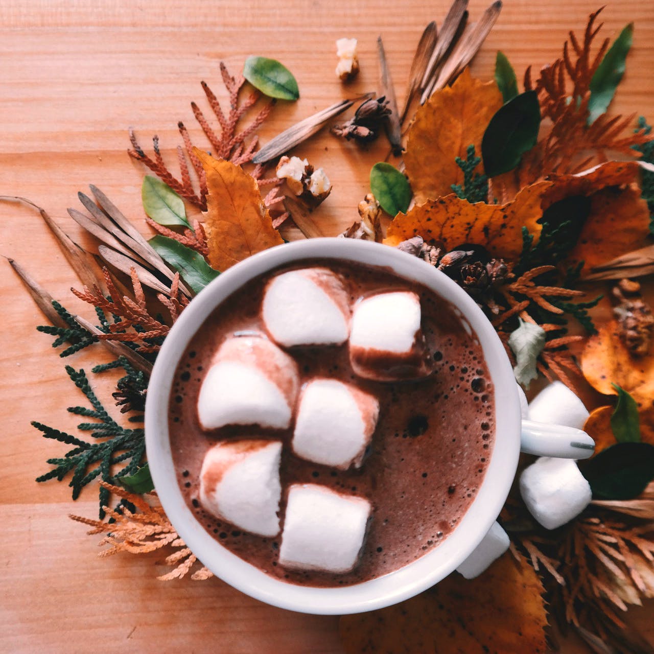 Food,Marshmallow,Cuisine,Dish,Ingredient,Hot chocolate,Recipe,Confectionery,Chocolate,Dessert