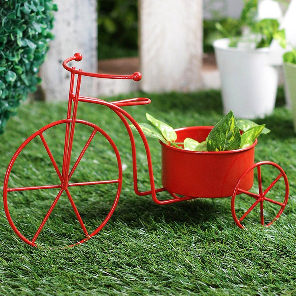 Bicycle wheel,Vehicle,Bicycle accessory,Grass,Bicycle part,Bicycle,Bicycle tire,Yard,Bicycle basket,Bicycle handlebar
