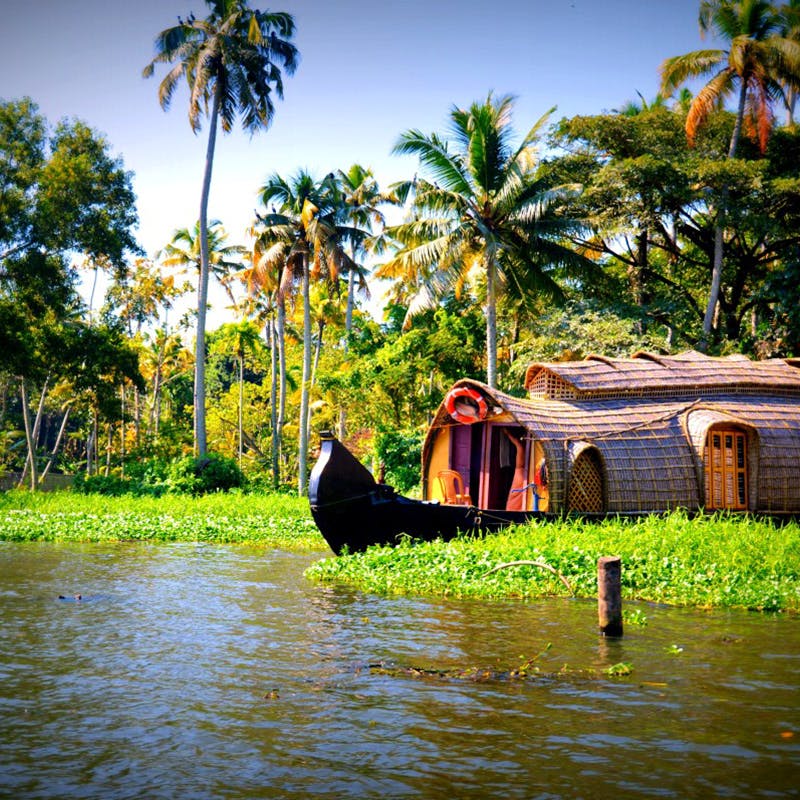 Nature,Water,Vegetation,Tree,Tropics,Palm tree,Waterway,River,Sky,Arecales